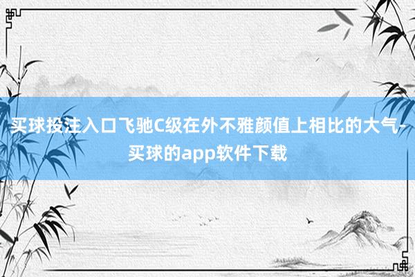 买球投注入口飞驰C级在外不雅颜值上相比的大气-买球的app软件下载