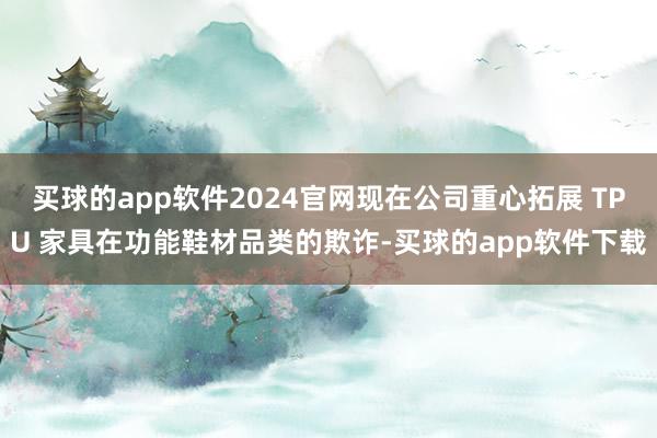 买球的app软件2024官网现在公司重心拓展 TPU 家具在功能鞋材品类的欺诈-买球的app软件下载