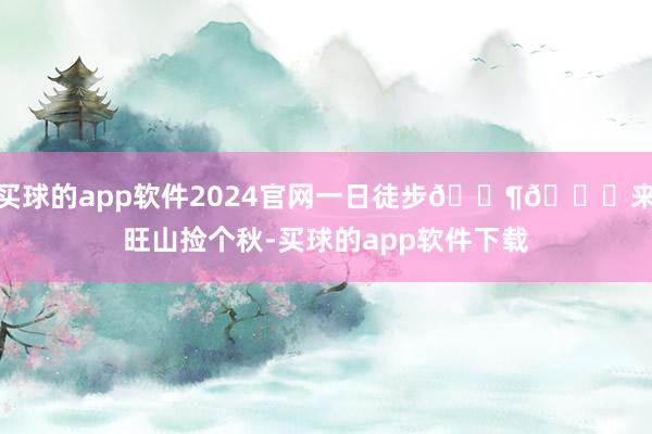 买球的app软件2024官网一日徒步🚶🍂来旺山捡个秋-买球的app软件下载