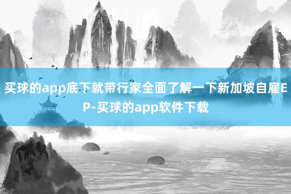 买球的app底下就带行家全面了解一下新加坡自雇EP-买球的app软件下载