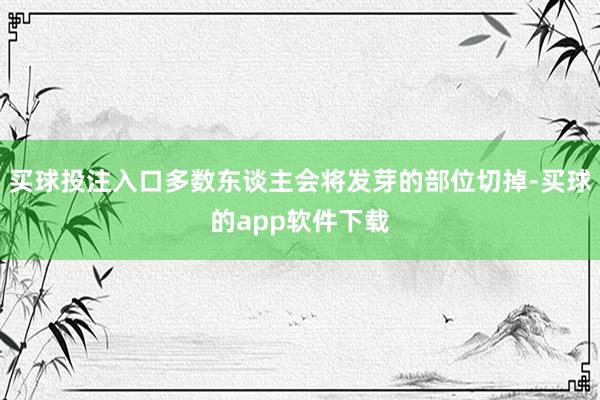 买球投注入口多数东谈主会将发芽的部位切掉-买球的app软件下载