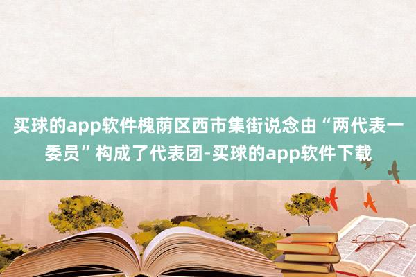 买球的app软件槐荫区西市集街说念由“两代表一委员”构成了代表团-买球的app软件下载