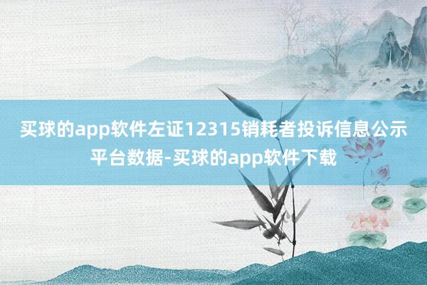 买球的app软件左证12315销耗者投诉信息公示平台数据-买球的app软件下载