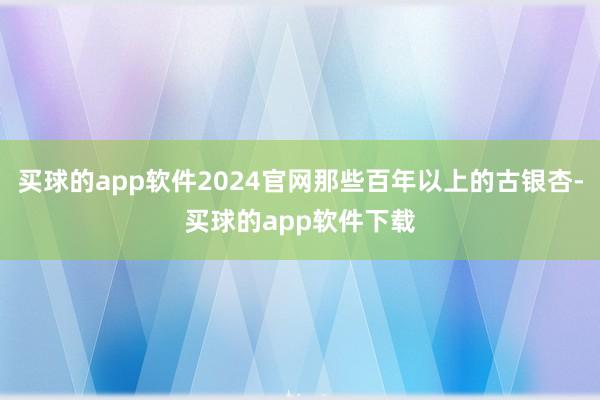 买球的app软件2024官网那些百年以上的古银杏-买球的app软件下载