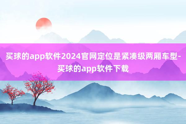 买球的app软件2024官网定位是紧凑级两厢车型-买球的app软件下载