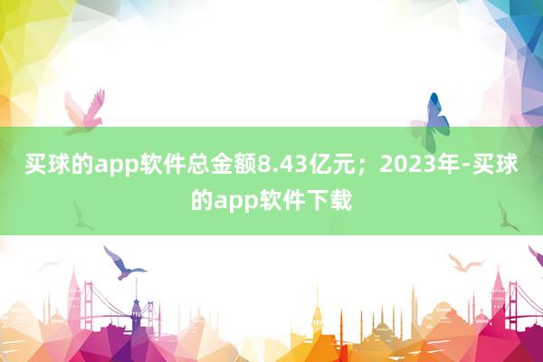 买球的app软件总金额8.43亿元；2023年-买球的app软件下载