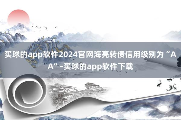 买球的app软件2024官网海亮转债信用级别为“AA”-买球的app软件下载