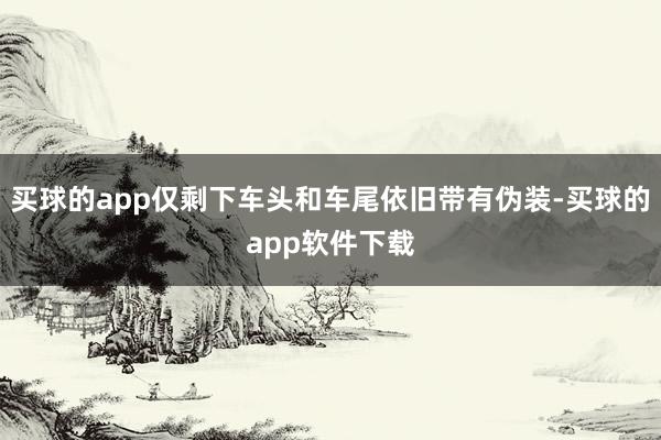 买球的app仅剩下车头和车尾依旧带有伪装-买球的app软件下载