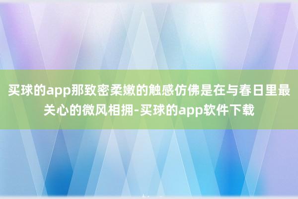 买球的app那致密柔嫩的触感仿佛是在与春日里最关心的微风相拥-买球的app软件下载