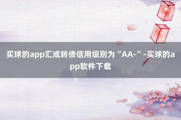 买球的app汇成转债信用级别为“AA-”-买球的app软件下载